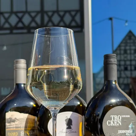 Hotel Martins Schonungen